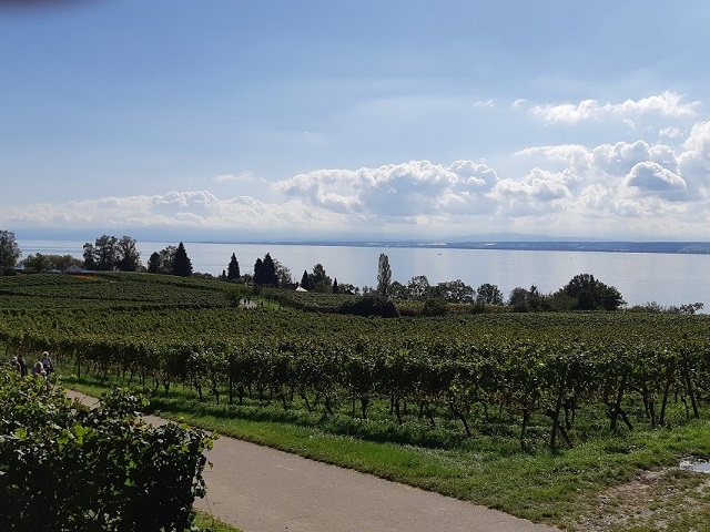 Im Herbst 2019 (5)
